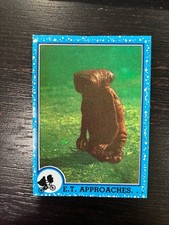ET ROOKIE 