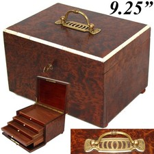 Antique Victorian Era Burled Walnut Cigar Presenter or Specimen Box, Chest picture