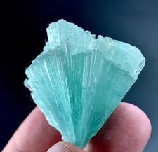 125 CTs Tourmaline Crystal Bunch specimen from Afghanistan picture