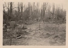 WW2 Theodore Speiser 1944 Ravaged Landscape Forest Debris Germany Rare Photo picture