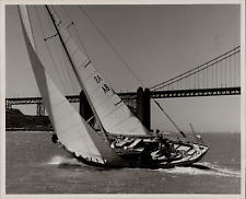 Original Diane Beeston Sailing Photo San Francisco Bridge GREAT IMAGE picture