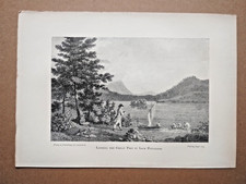 Landing the Great Pike in Loch Petullich - Antique Print - 1896 picture