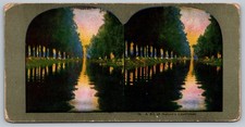 A Bit of Nature's Loveliness Stereoview Beauty Avenue Curved Mount picture