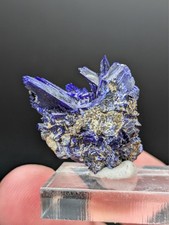 Azurite Cluster with Matrix, 3.0x2.4x1.2 cm, Touissit, Morocco picture