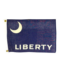 Vintage Fort Moultrie Liberty Flag 18x11.5 Small Cotton Historical SC Banner picture