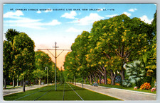 c1940s St. Charles Avenue Gigantic Live Oaks New Orleans LA Postcard Linen picture