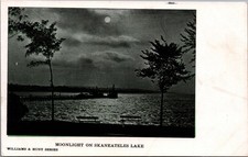 Moonlight on Skaneateles Lake Postcard Williams & Hunt Series Vintage picture