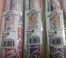 Nekopara Swimsuit ver. B2 Tapestry 3 sets NEKO WORKs Curtain Soul japan anime picture