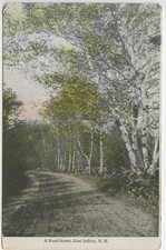 Vintage 1910s Postcard: East Jaffrey NH New Hampshire Road Scene Swallow Co picture