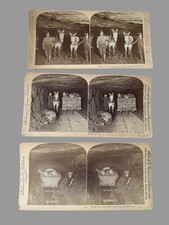 3 Antique 1895 Pennsylvania Coal Mining Stereoviews Miners Mules Underground picture