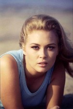 Hollywood Actress Faye Dunaway Retro Vintage Photo Picture 8x10 picture