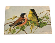 Vintage Postcard Song Birds Painting Artist C Klein Unposted #123 Ephemera picture