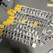 Vintage Fan Fold Photo Lot – 1950s And 1960s  Family Ephemera picture