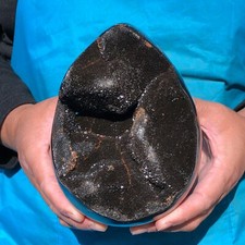 4.48LB Top Natural Turtle Back Stone Hole Shape Dragon Crystal Crack Gem Reiki picture