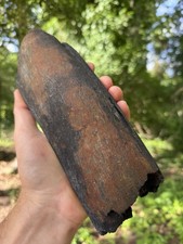 Very Rare Hollow EXTINCT “MYSTICETI” Rib Wh@le Bone Fossil  picture