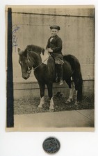 Vintage 1910's MINIATURE HORSE photo / Edwardian Boy in Knickers & SHETLAND PONY picture