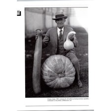 Produce Champ Raising Enormous Vegetables Minnesota State Fair Print SV27-3 picture