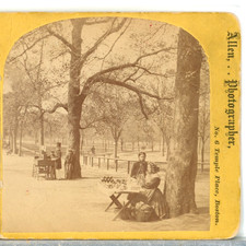 MASSACHUSETTS, The Apple Woman, Boston Commons--Allen Stereoview E95 picture