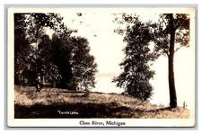 Torch Lake Clam River Michigan MI Nature Landscape Vintage RPPC Postcard 1939 picture