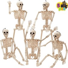 JOYIN 5 Pcs Posable Halloween Skeletons 16
