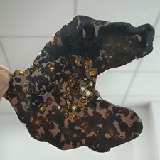 Natural Sericho Pallasite Meteorite 51.4 Grams Perfect Cut Slices Glaze Sealed picture