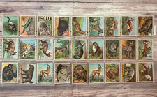 1925 Harry Horne Nu-Jell Complete 27 Card Contest Set Animal Advertising Rare picture