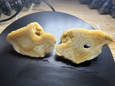 Crowley’s Banded Agate pair lapidary cut/ nice Fortification Banding/Eye Pattern picture