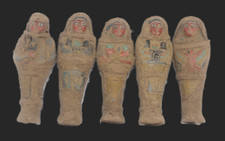 5 RARE ANCIENT EGYPTIAN ANTIQUE ROYAL SERVANT Ushabties Mummified Statues EGYCOM picture