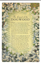Postcard Divided The Legend of the Dogwood N-660 Ashville Post Card Co. picture