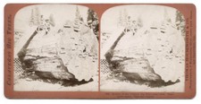 c.1860's STEREOVIEW SV - HOUSEWORTH - SECTION OF BIG TREE MAMMOTH GROVE picture
