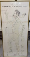 ￼Vintage The Newest ILLustration Of Acupuncture Points #3 33.5 By 15.5 picture