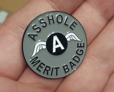 A*SHOLE MERIT BADGE Lapel Pin brooch a*s hole A wings enamel funny pinback Gray picture