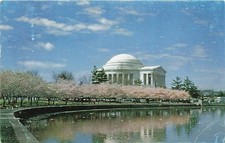 Postcard DC: Jefferson Memorial Cherry Blossoms, Washington DC Posted 1962 picture