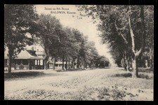 Postcard Baldwin, Kansas KS Scene on 8th St Albertype c1910 picture