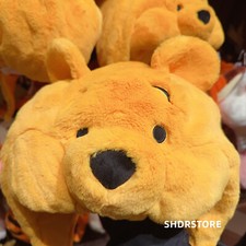 Disney authentic Winnie the pooh head hat soft cap disneyland exclusive picture