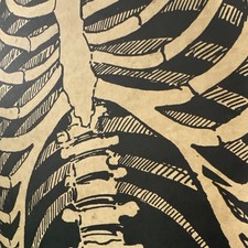 Vintage large Halloween Skeleton Hanging Cardboard articulated 55” picture