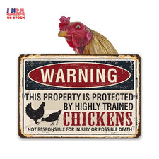 Funny Chicken Coop - 