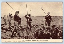 St. Paul Alaska AK Postcard Killing Fur Seals Men c1910's Unposted Antique picture
