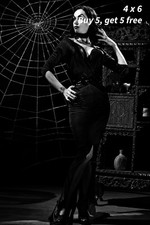 VAMPIRA - 4x6 Publicity Photo 🟣Retro Horror Television Icon Portrait picture