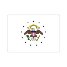 Flag Vice President 1948-1975 (United States) STICKER Vinyl Kiss-Cut Decal picture