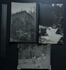 Lot of 3 Antique Gelatin Silver Photos Waterwheel River Geese Landscape picture