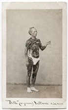 Japan Tattooed Man Bett Groom Irezumi Full Body Suit Art Vtg. Photo 19thC. picture