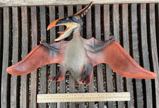 Large PTERODACTYL Rubber DINOSAUR TOY Figure Creatology Winged 17