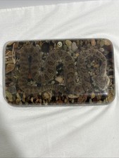 Vintage Preserved Rattlesnake In Resin 9-1/4”x5-3/4” picture