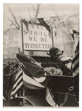c1910 UK Animal Rights Brown Dog Statue Removal Protest & Laboratory Photos picture