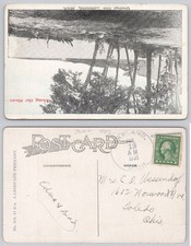 1921 Lakeland Michigan Shoreline Vintage Postcard Along the Shore picture