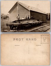 Antique 1909 Exaggeration Postcard Giant Great Northern Pickerel Fish Railroad picture