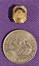 Cheylan JHS Junior High School Pin *West Virginia?* picture