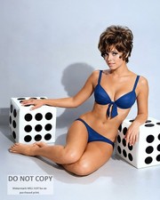 ACTRESS JO ANN PFLUG PIN UP - 8X10 PUBLICITY PHOTO (MW-993) picture