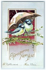 c1910's New Year Song Birds With Umbrella Snowfall Clapsaddle Embossed Postcard picture